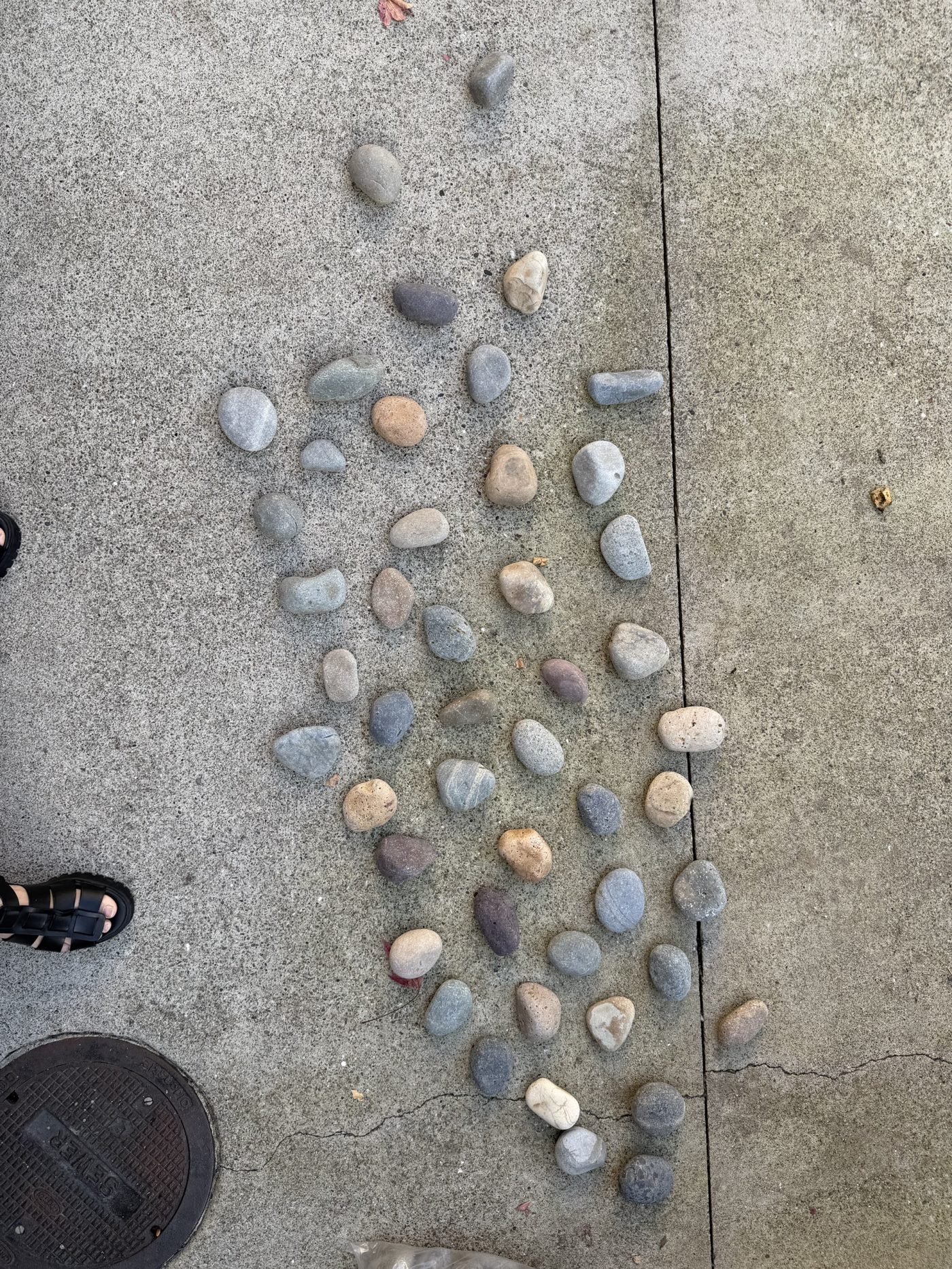 All the rocks laid out on concrete